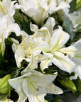 Bouquet of white lilies with foliage.