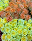 Lemon and peach roses