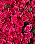 Close-up of a bouquet of pink roses with green leaves.