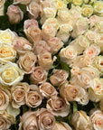 Close-up of a bouquet of light pink and white roses.