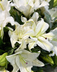 Cut Flower Bunch | Oriental Lillies