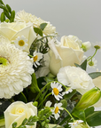 Ceramic Pot Arrangements