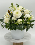 Ceramic Pot Arrangements