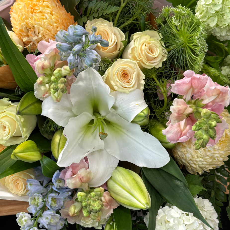 Collections – TAMAR VALLEY ROSES