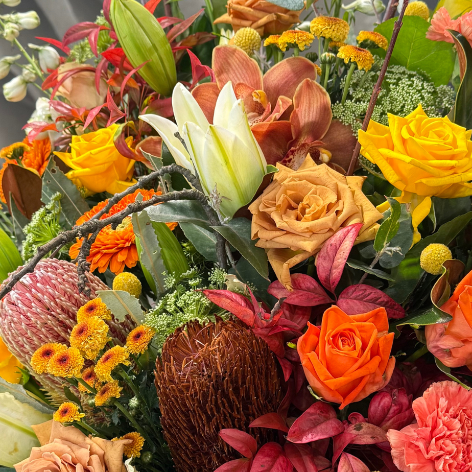 Collections – TAMAR VALLEY ROSES