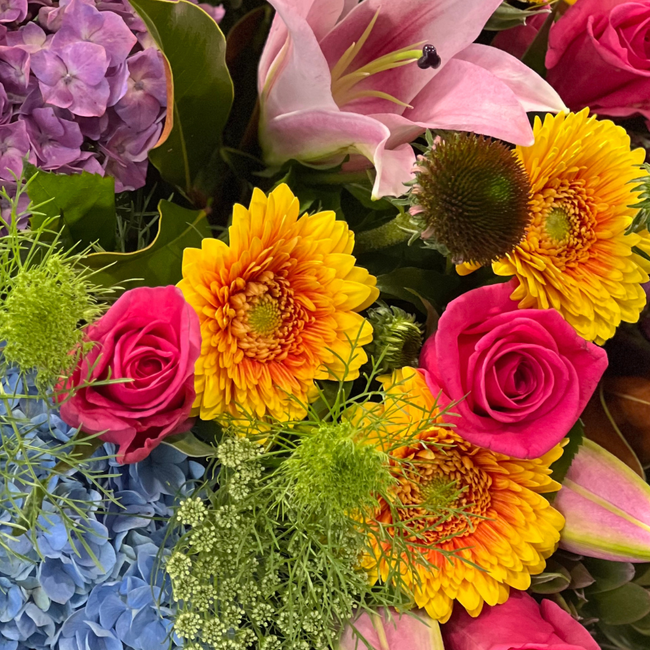 Collections – TAMAR VALLEY ROSES