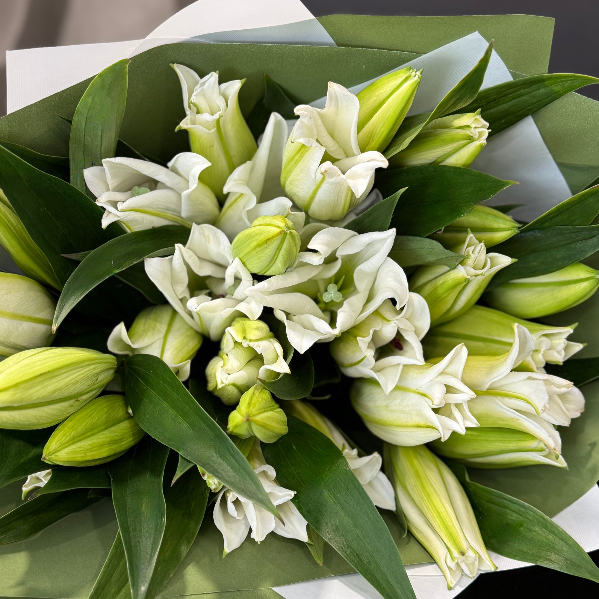 Bouquet of white  Oriental Lillies with green leaves and gift wrapped.