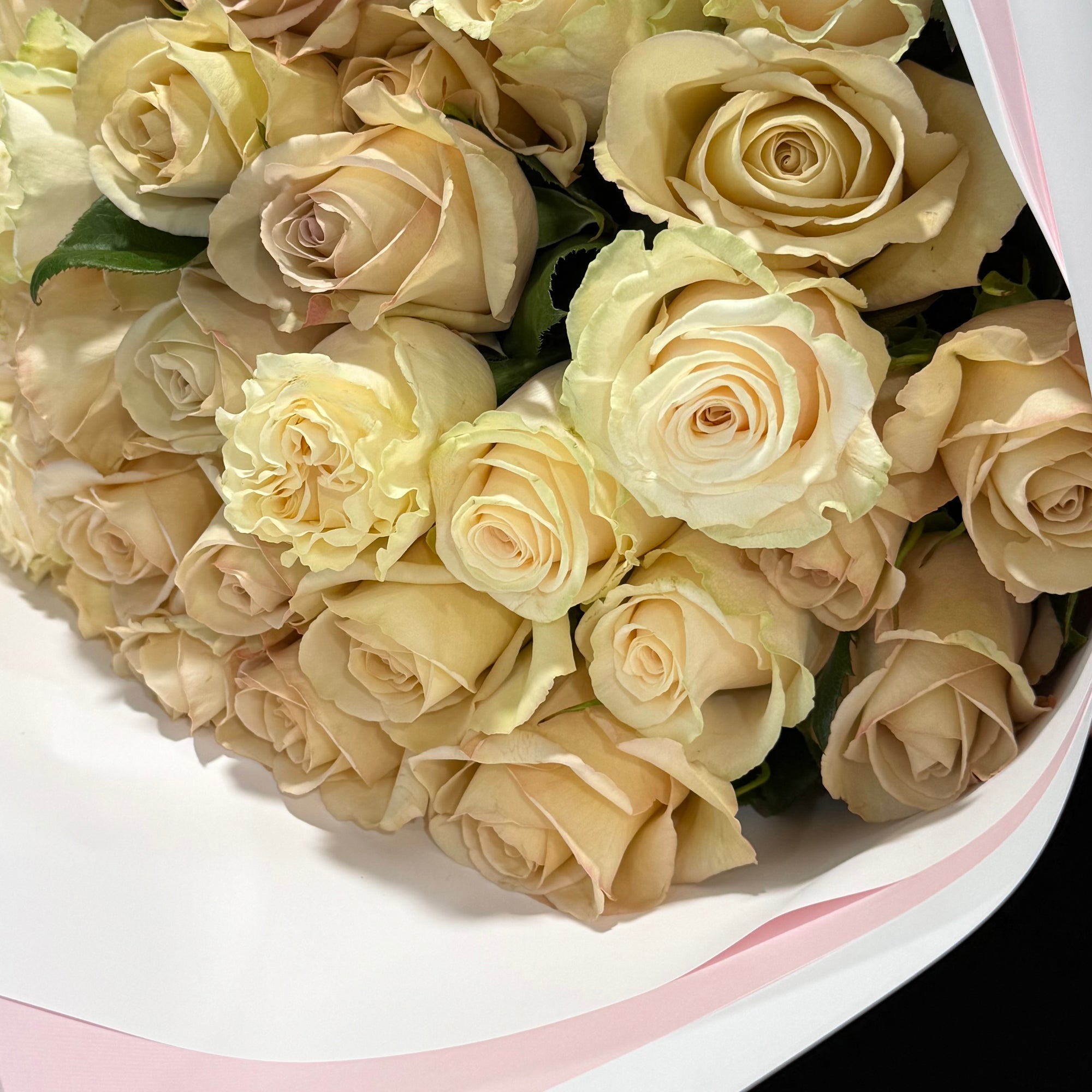 A close-up of a bouquet of pale cream to beige roses wrapped in white paper with a light pink ribbon.