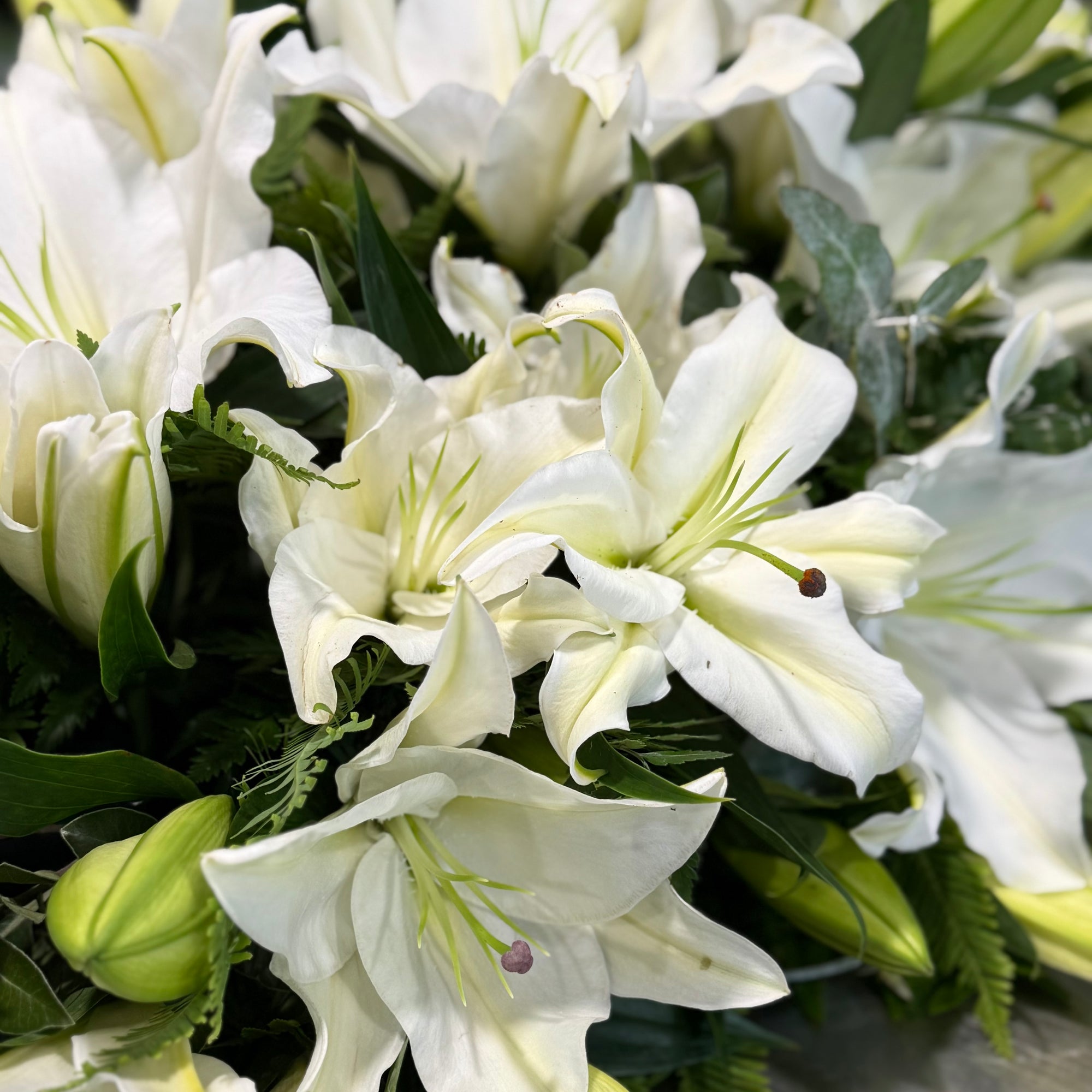 Bouquet of white lilies with foliage.
