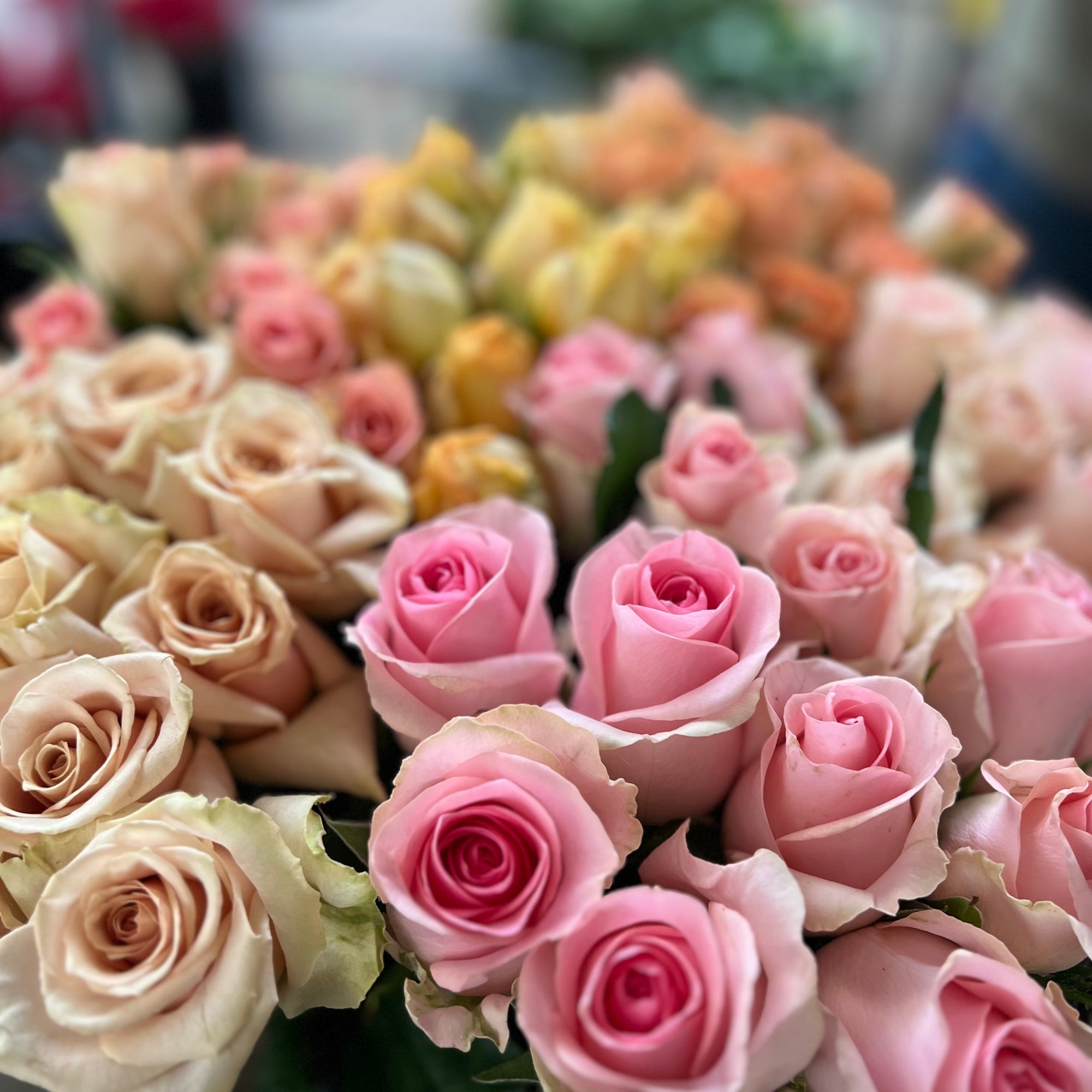 Bouquet of pink and beige roses with a blurred background