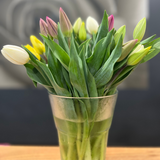 Cut Flower Bunch | Table Cape Tulips