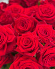 Valentine's Day | Bouquet of 12 Premium Red Roses - Gift Wrapped