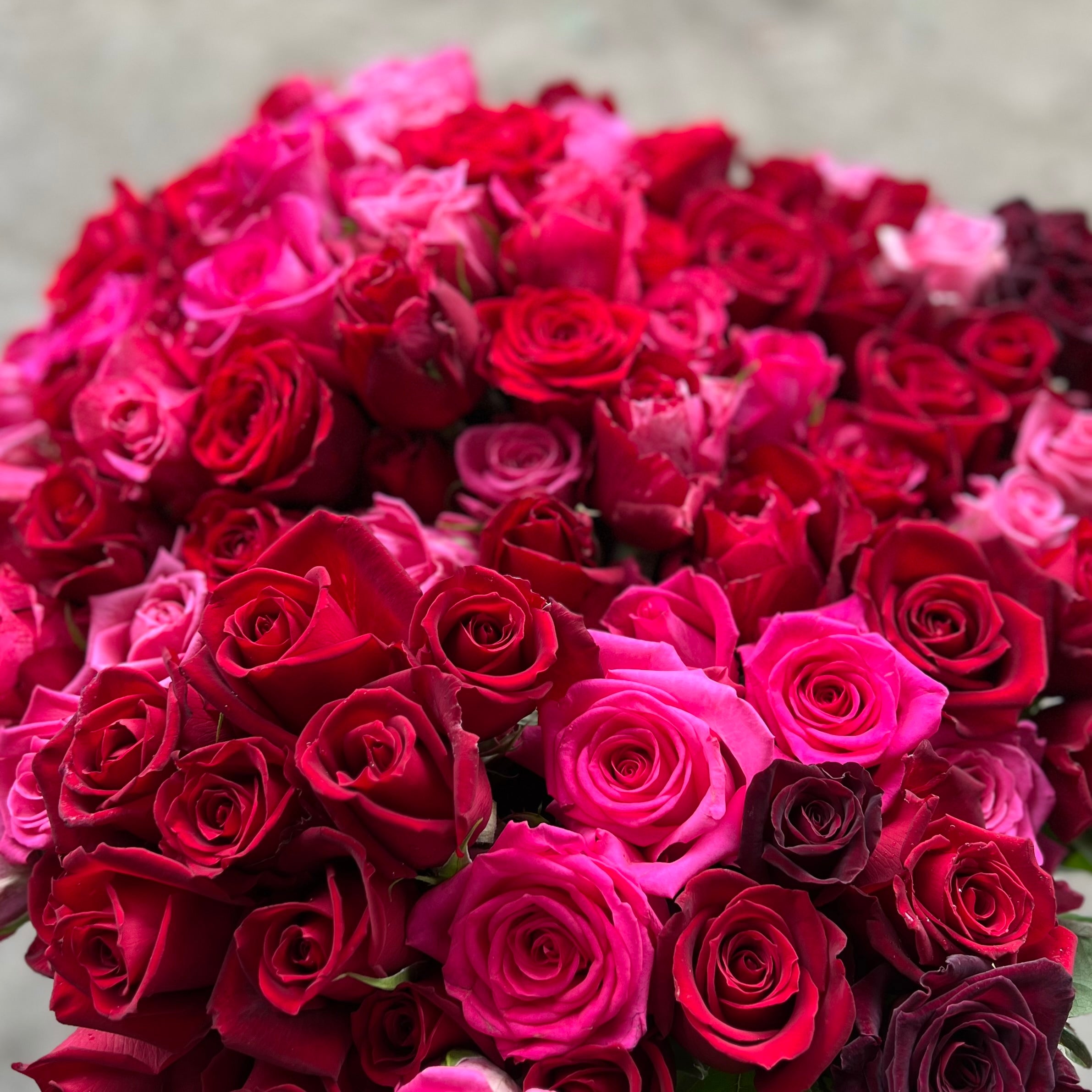 The Tamar Valley Rose Shop — photo 7 of 7