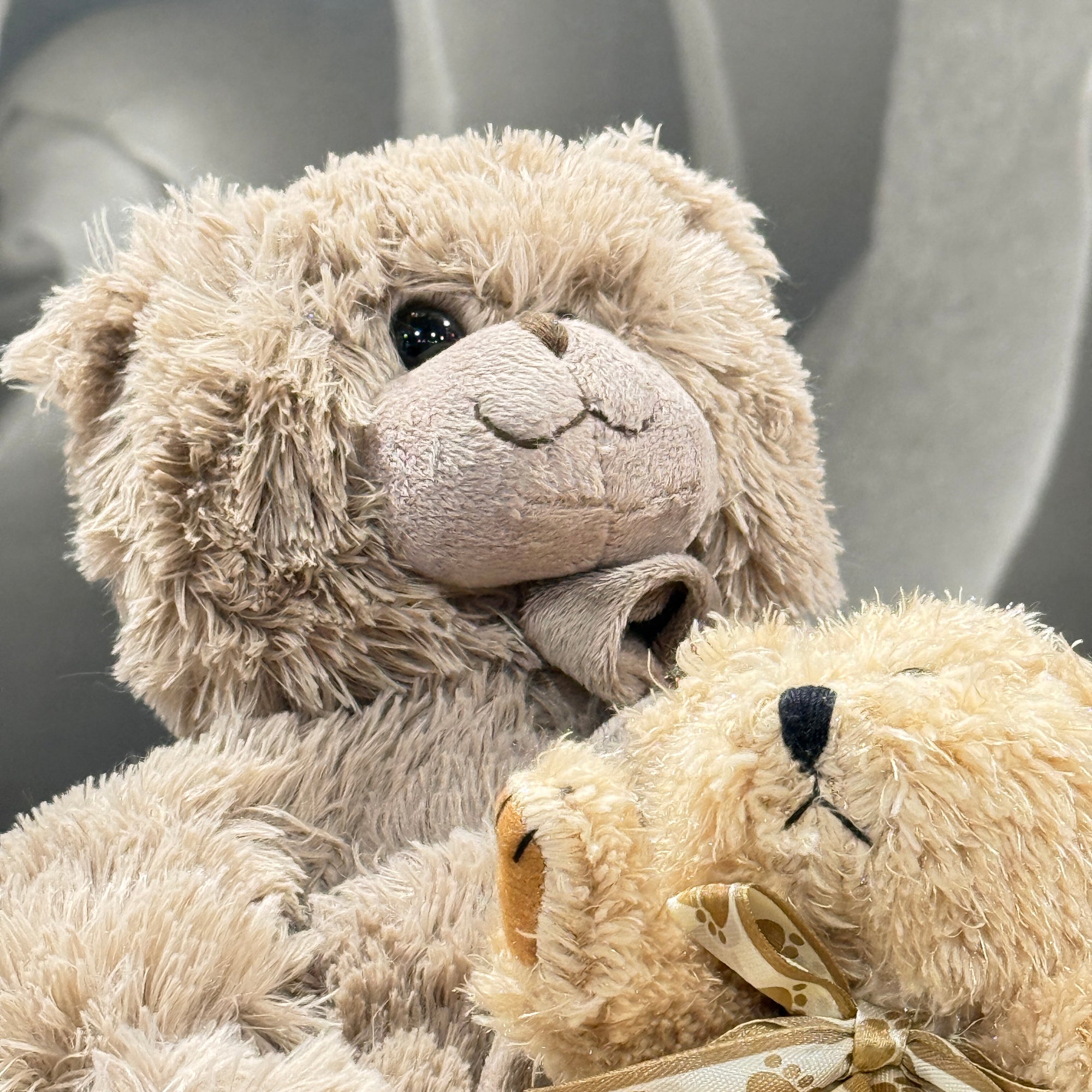 A close-up of a soft, shaggy beige teddy bear holding a smaller cream teddy bear with a ribbon bow, set against a gray upholstered background.