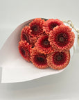 Cut Flower Bunch | Pomponi Gerberas