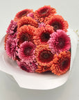 Cut Flower Bunch | Pomponi Gerberas
