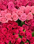Close-up of assorted pink roses with green leaves.