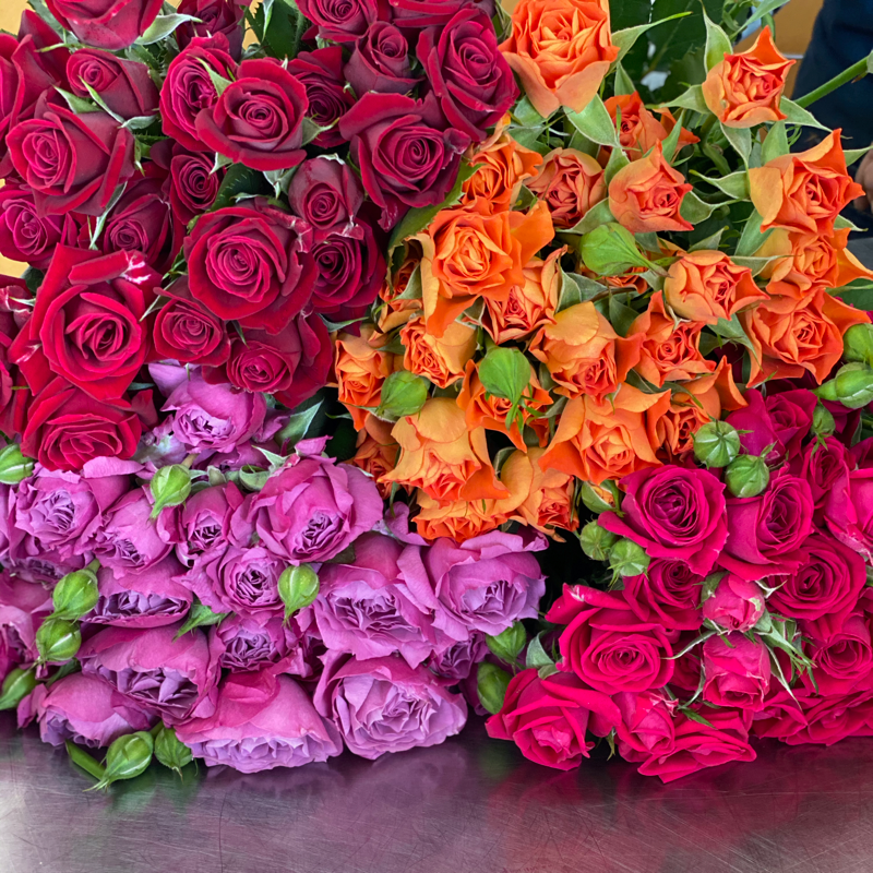 Close Up image of spray roses in orange, hot pink, red and lavender 