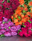 Close Up image of spray roses in orange, hot pink, red and lavender 