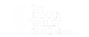 TAMAR VALLEY ROSES